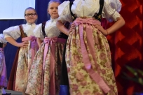 Koncert jubileuszowy z okazji 25-lecia Dziecięco - Młodzieżowego Zespołu Pieśni i Tańca "Goleszów"