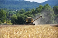 Żniwa w gminie Goleszów