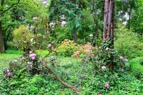 Część ogrodu w stylu angielskim Arboretum