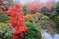 Obfitość kolorów Arboretum Wrocław