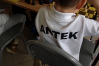 Antek szachista