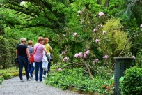 Członkowie Towarzystwa Miłośników Ziemi Goleszowskiej w Arboretum