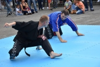 Pokaz sztuk walki