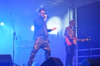 Koncert Papa D