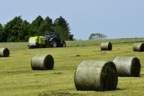 Nabór na rachmistrzów Powszechnego Spisu Rolnego