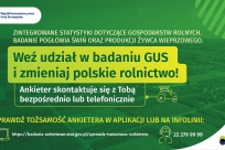 Badanie pogłowia świń i produkcji żywca wieprzowego