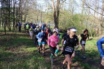 Biegi Salamandra Ultra Trail 2023