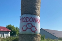 Goleszowskie dekoracje dożynkowe