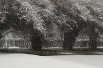 Zdjęcie ilustrujące artykuł, fot. Tomasz Lenkiewicz