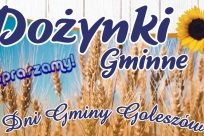 Baner