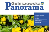 Baner Panorama Goleszowska