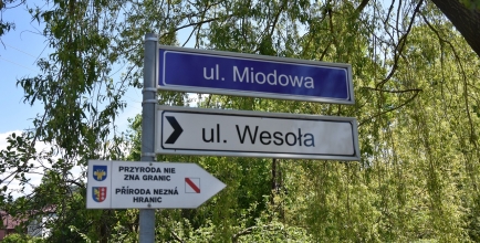 Leszna Górna, ul. Miodowa