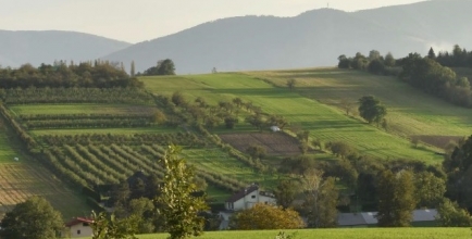 Panorama Goleszowska wrzesień - październik 2020 r.