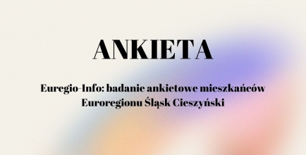 Ankieta