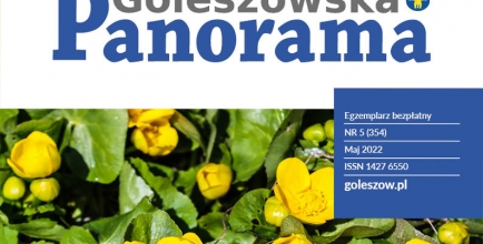 Baner Panorama Goleszowska