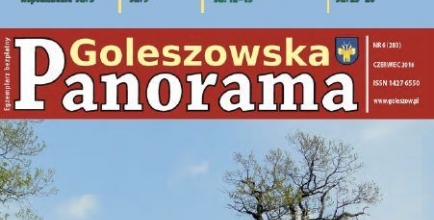 Czerwcowa okładka