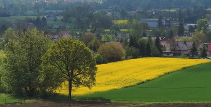 Okładka Panoramy Goleszowskiej fot. Krystian Grzybek