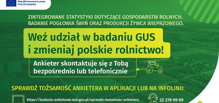 Badanie pogłowia świń i produkcji żywca wieprzowego