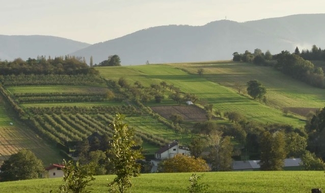 Panorama Goleszowska wrzesień - październik 2020 r.