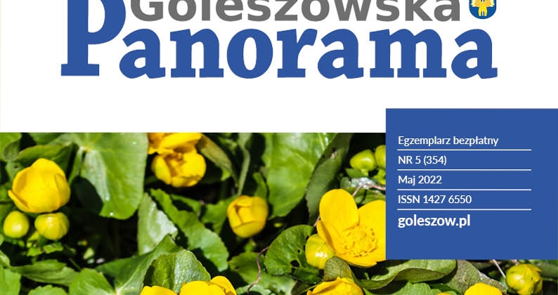 Baner Panorama Goleszowska