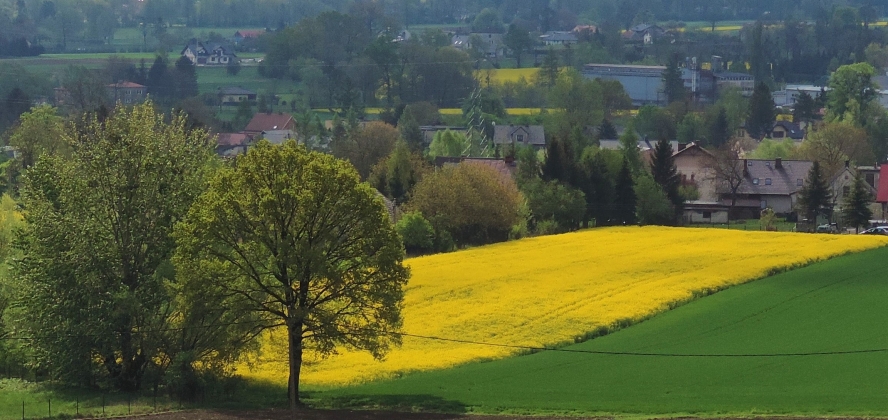 Okładka Panoramy Goleszowskiej fot. Krystian Grzybek